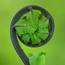 Economia circolare